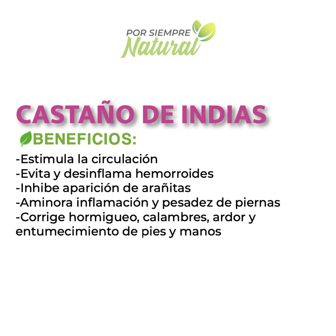 Castaño de Indias Extracto 80mL