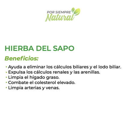 Hierba del Sapo Extracto 80mL