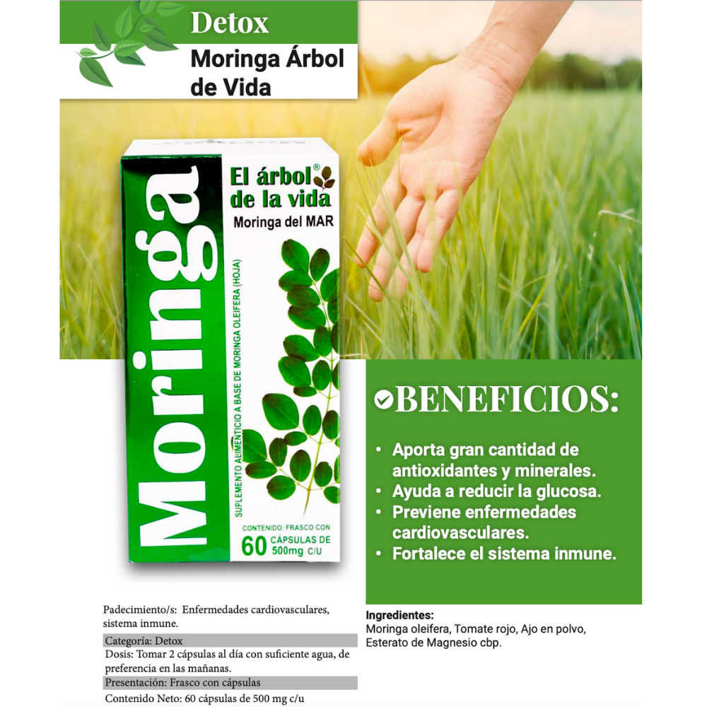 Moringa el Árbol de la Vida 60 Cápsulas