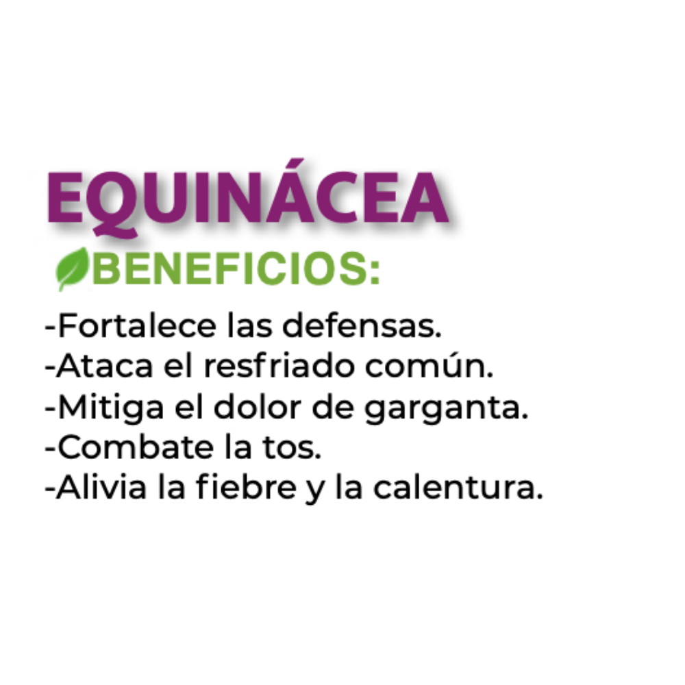 Equinacea Extracto 80mL